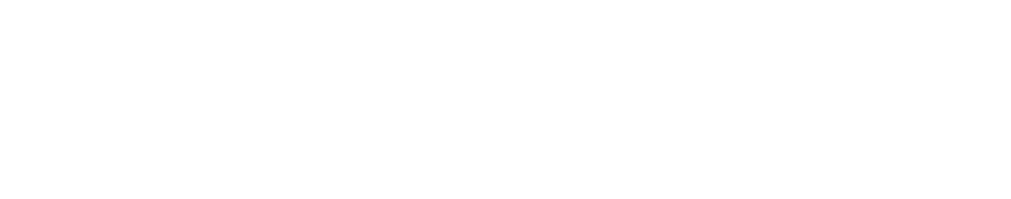 logo_white